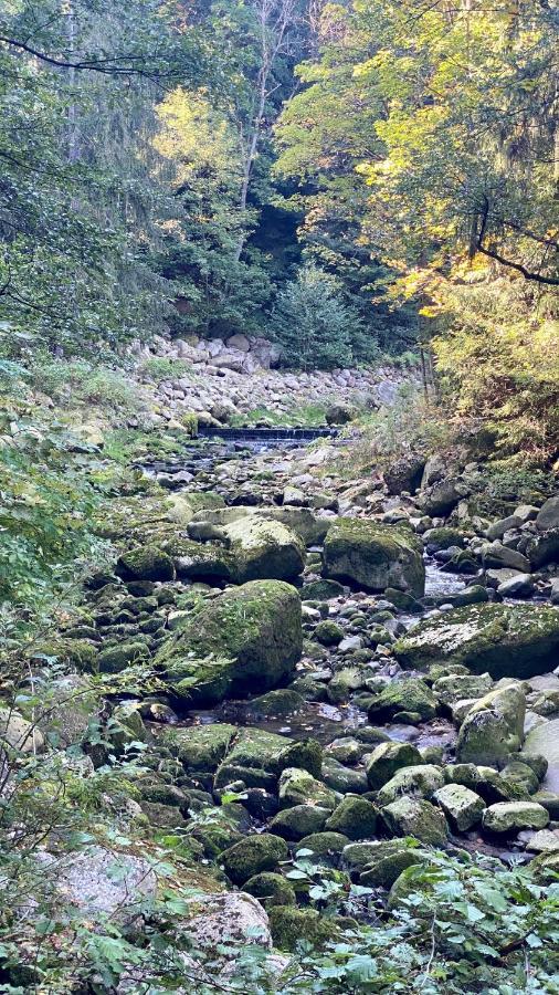 Dolina Wikingow-Apartament Suite Z Tarasem W Ogrodzie, Miejscem W Garazu I Dostepem Do Strefy Wellness シクラルスカ・ポレンバ エクステリア 写真
